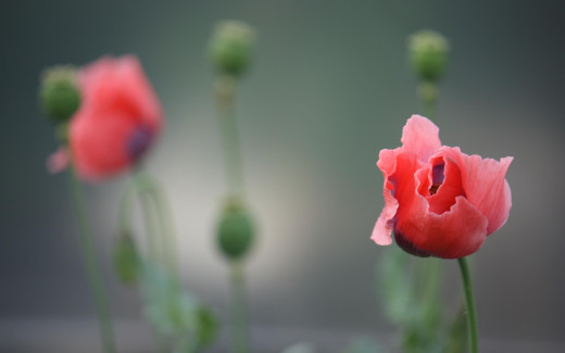559672 (a): :2560x1600